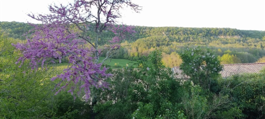 Loubières, Gîtes de Mailhac, Ariège, France, campagne